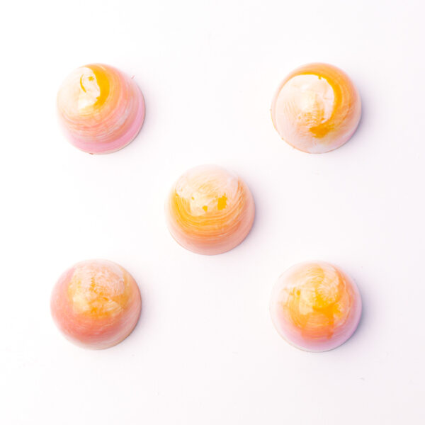 2025 Advent Calendar - Image 6